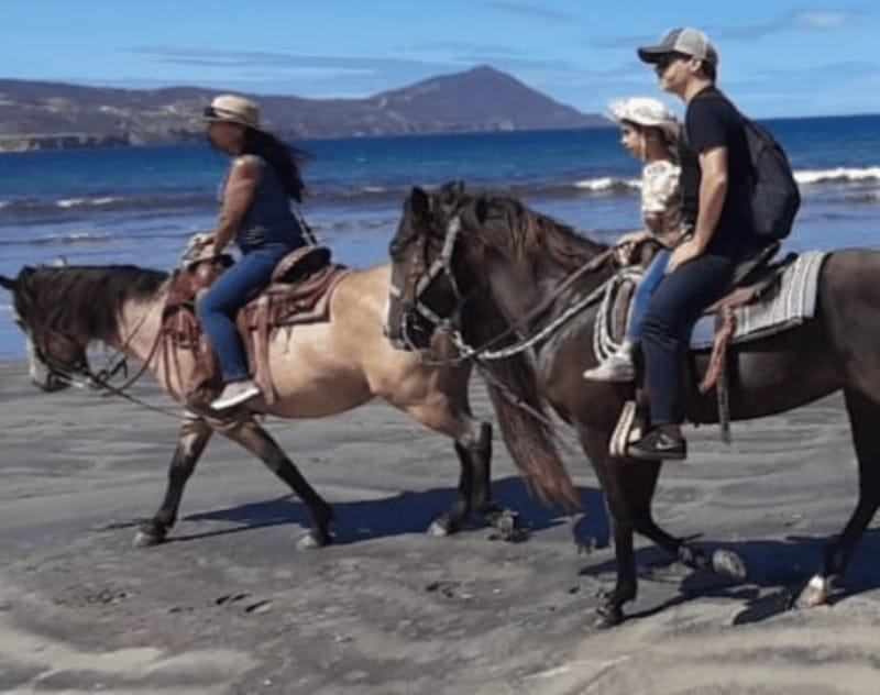 Ensenada: Horseback Riding at Playa Hermosa Beach - Is $64 a fair price?