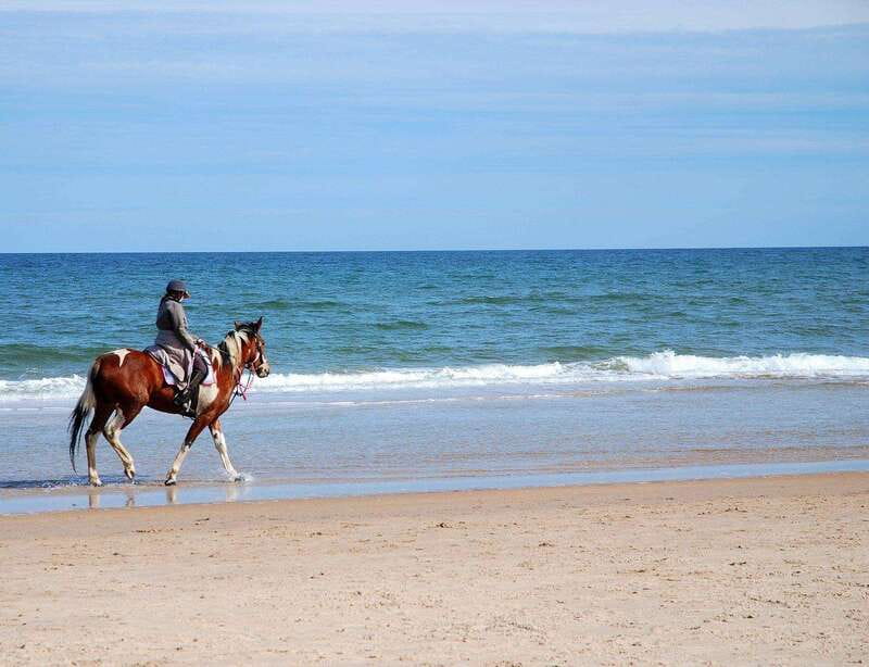 Ensenada: Horseback riding in the beach - Brian adds more than a simple transfer