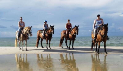 Horseback riding in the beach