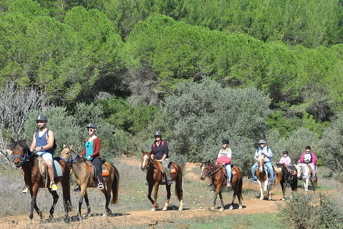 Ephesus Full Day Tour & Horse Safari + Lunch - Opt Turkish Bath - The real price is much higher than $45