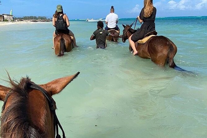 Epic Horseback Ride & Swim and Blue Hole From Montego Bay Private - What the $135 price really covers