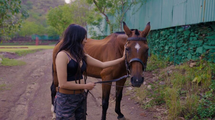 Equestrian Escape: Horse Safari Adventure - Should You Book the Marwari Equestrian Experience?