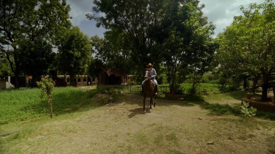 Equestrian Escape: Horse Safari Adventure - The Countryside Ride Near Badi Village