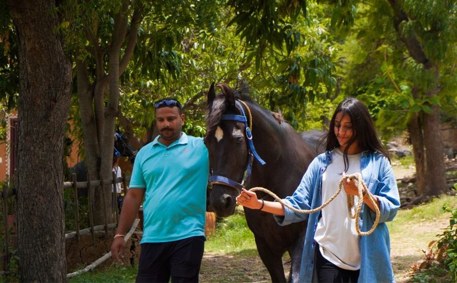 Equestrian Escape: Horse Safari Adventure - What the Ranch Setting Adds to the Visit