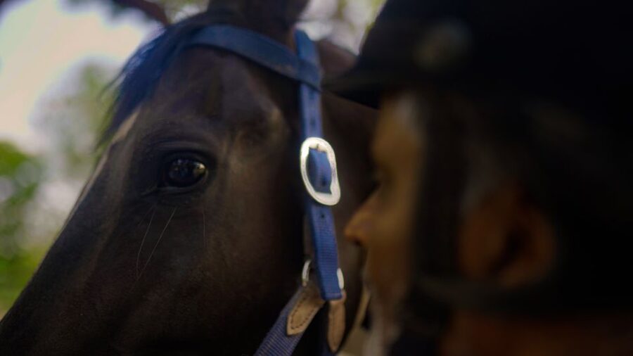 Equestrian Escape: Horse Safari Adventure - Who Will Enjoy This Horse Safari Most?