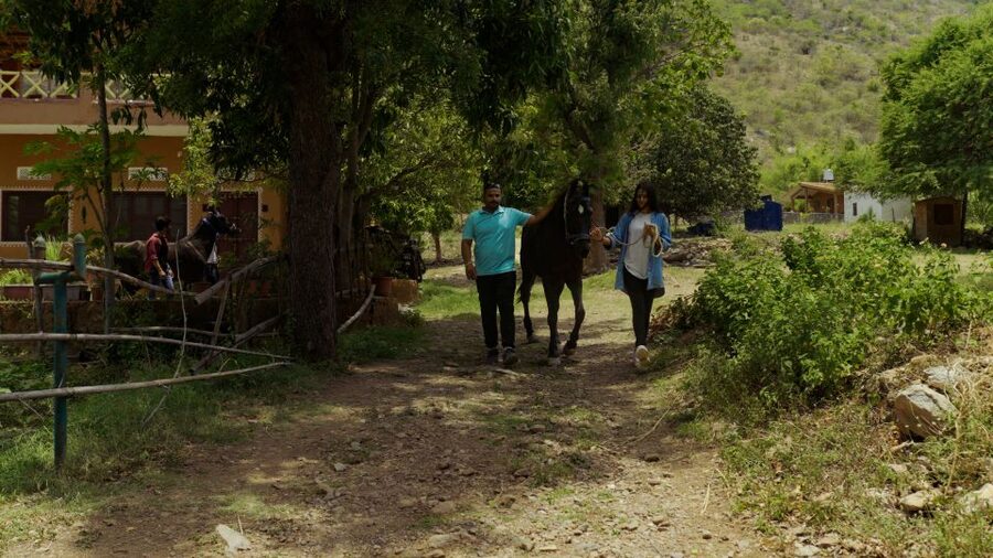 Equestrian Escape: Horse Safari Adventure - Booking Details That Matter