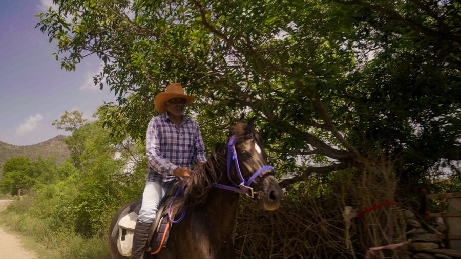 Equestrian Escape: Horse Safari Adventure - Feeding, Cleaning, and Grooming Before the Ride