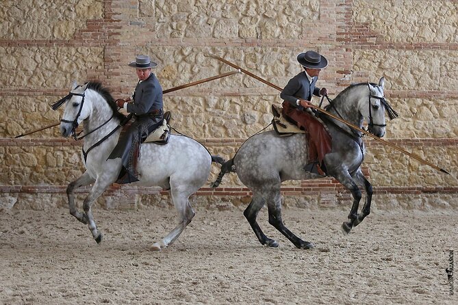 Equestrian Show Royal Stables of Córdoba - Choosing between general and premium seating