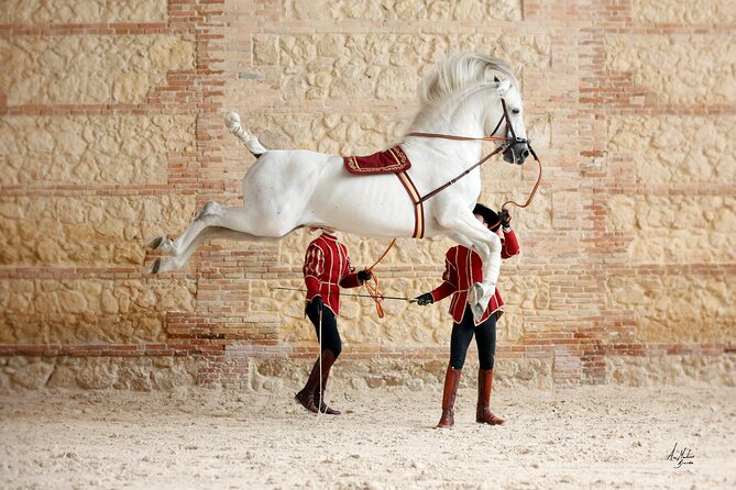 Equestrian Show Royal Stables of Córdoba - Andalusian horses and classical riding