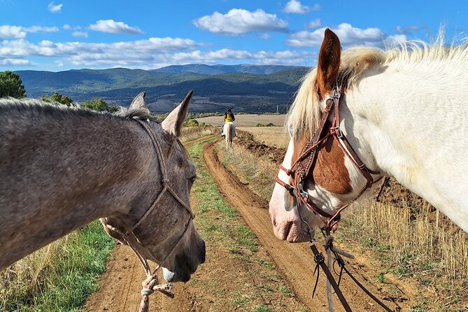 Escape Sofia: horse ride through Bulgaria´s beauty - From Sofia to Radomir by horse