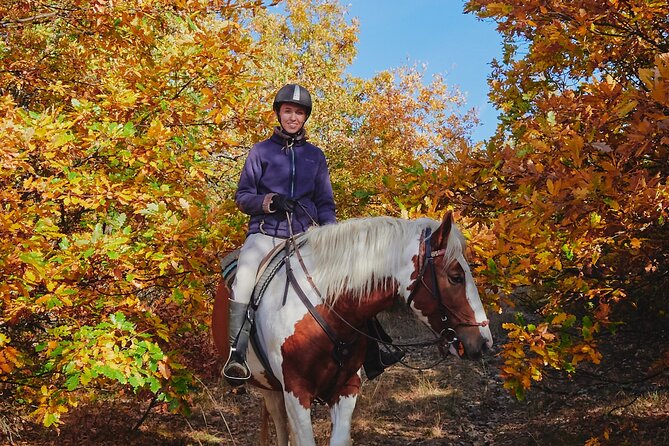 Escape Sofia: horse ride through Bulgaria´s beauty - Meeting the horses before the ride