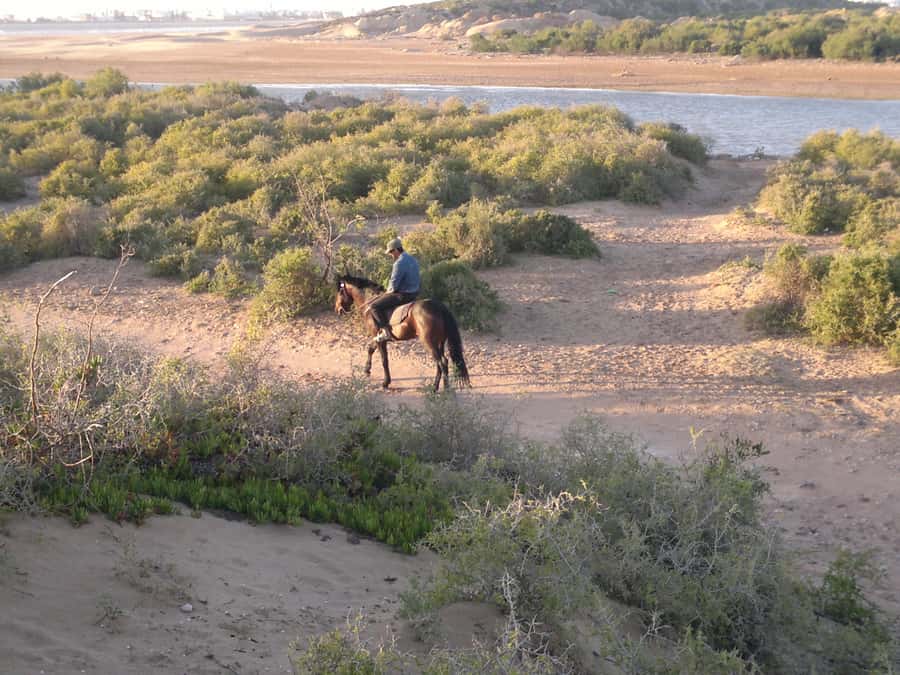 Essaouira: 3-Hour Horseback Ride - From Essaouira’s medina to Ranch de Diabat