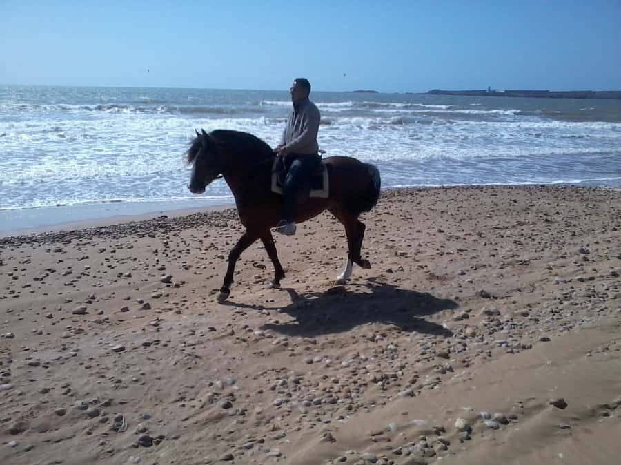 Essaouira: 3-Hour Horseback Ride - Riding Essaouira’s wide beach