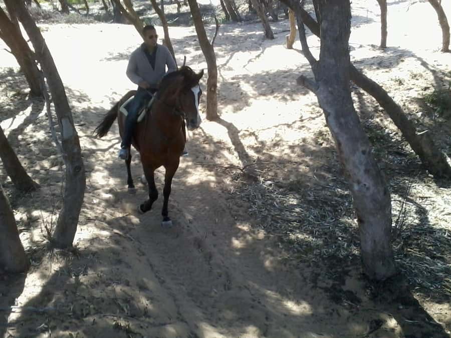 Essaouira: 3-Hour Horseback Ride - Is $84 a fair price for three hours?