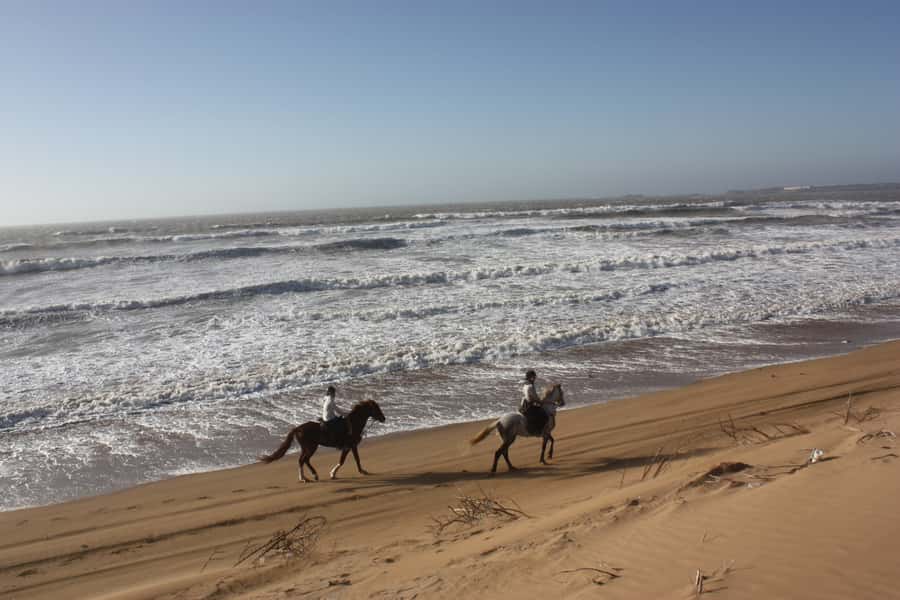 Essaouira: 3-Hour Horseback Ride - The old Black Sultan’s Palace