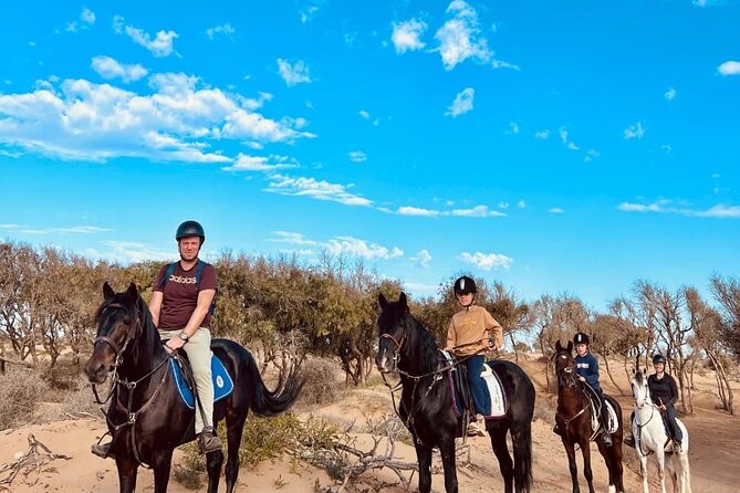 Essaouira Beach Horse Rides &Treks for All Levels - Meeting a calm horse before the ride