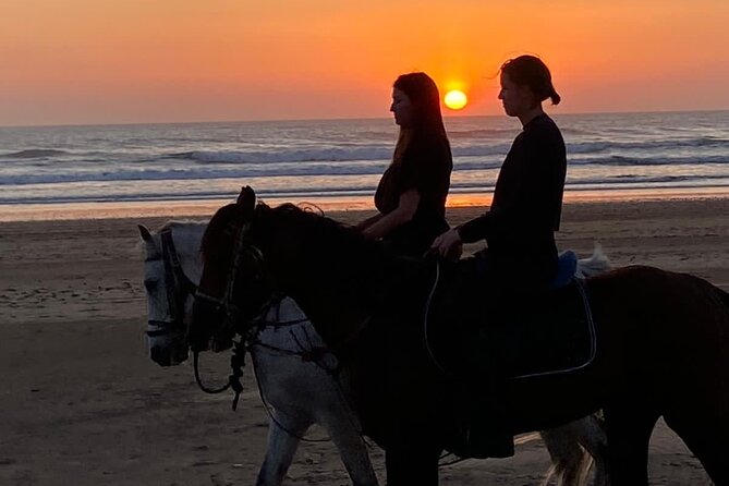 Essaouira Beach Horse Rides &Treks for All Levels - Photos, videos, and tea after the saddle