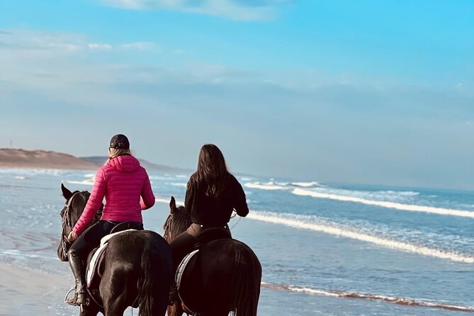 Essaouira Beach Horse Rides &Treks for All Levels - What the $23.24 price really offers