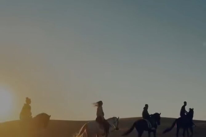 Essaouira Beach Horse Rides &Treks for All Levels - Practical points before you saddle up
