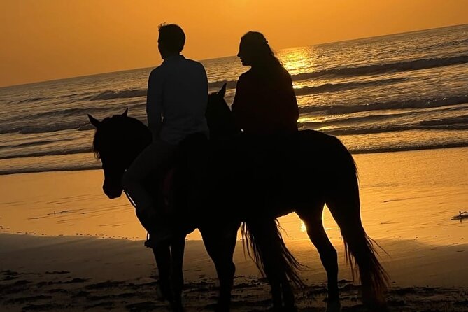 Essaouira Beach Horse Rides &Treks for All Levels - Riding through dunes, forest, and open beach