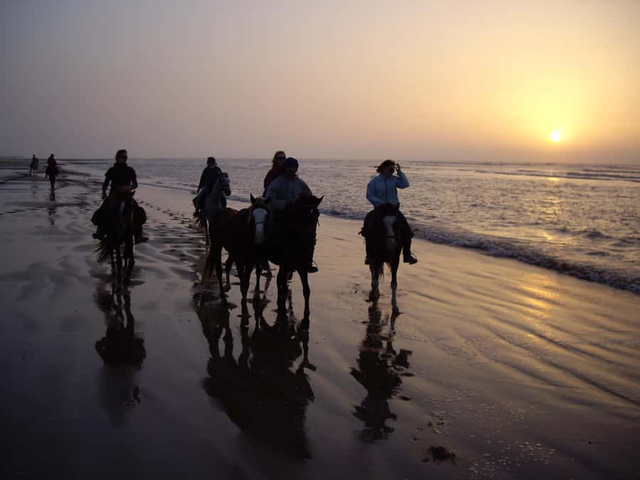 Essaouira: Full-Day Horse Riding Tour with Lunch - A picnic lunch that breaks up the saddle time