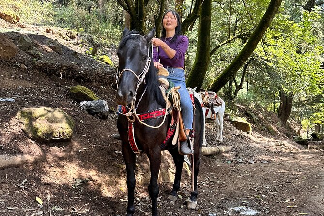 Exclusive Horseback Ride w/ Mexican Charros Family in México City - From Hipódromo to the forested slopes of Los Dinamos