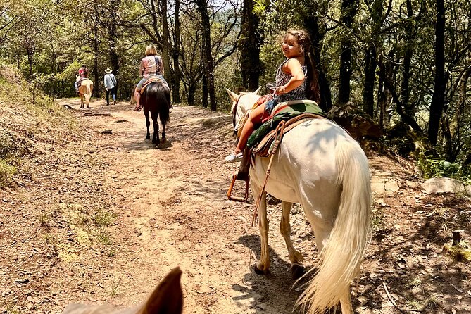 Exclusive Horseback Ride w/ Mexican Charros Family in México City - Why the rescue-horse approach matters