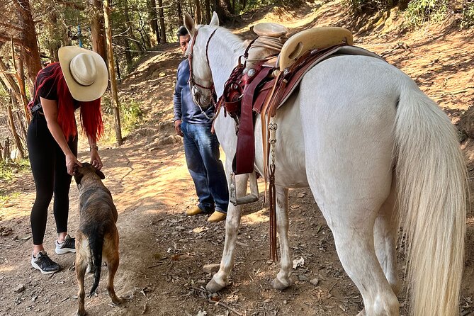 Exclusive Horseback Ride w/ Mexican Charros Family in México City - The personal touch, and where it can vary