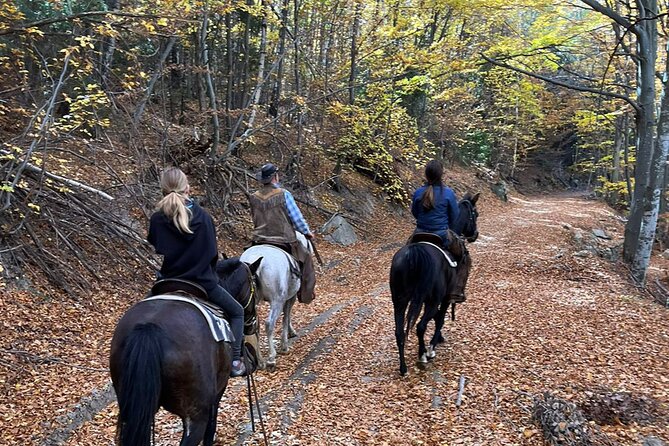 Exclusive Sofia: Nevsky, Vitosha Hoof, Boyana, Horse Ride & Spa - Limoncheto and the value of a local meal
