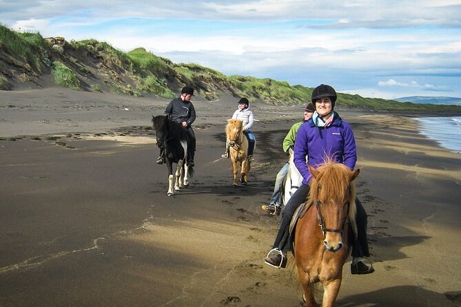 Experience Countryside of Iceland by Horseback Riding - A useful first lesson for complete beginners