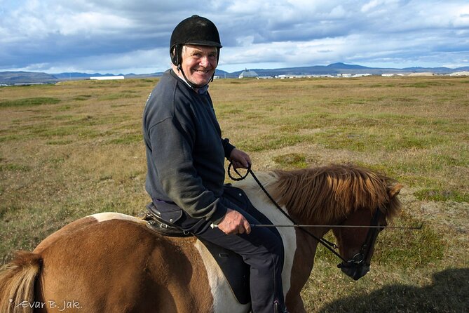 Experience Countryside of Iceland by Horseback Riding - Meeting the horses near Þorlákshöfn