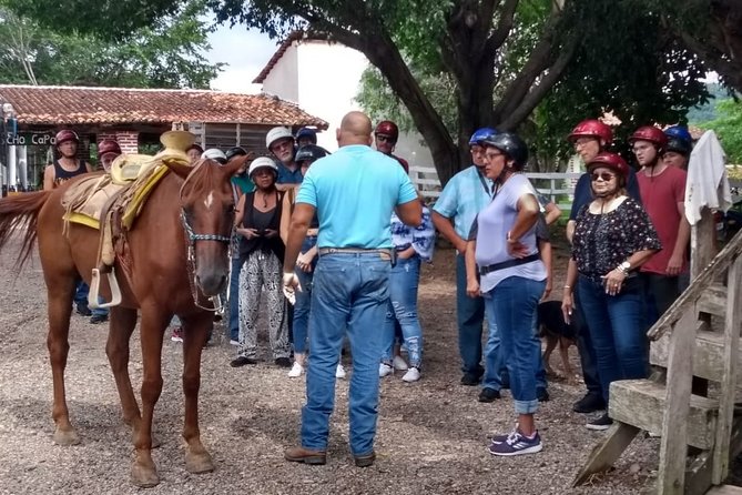 Experience Horse Riding, ATV & Zipline from Puerto Vallarta - Key points before you book