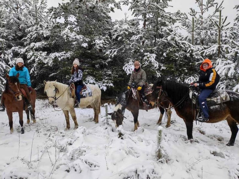 ✨Experience Sofia - nature, history, horse riding and SPA✨ - Soaking at Sapareva Banya