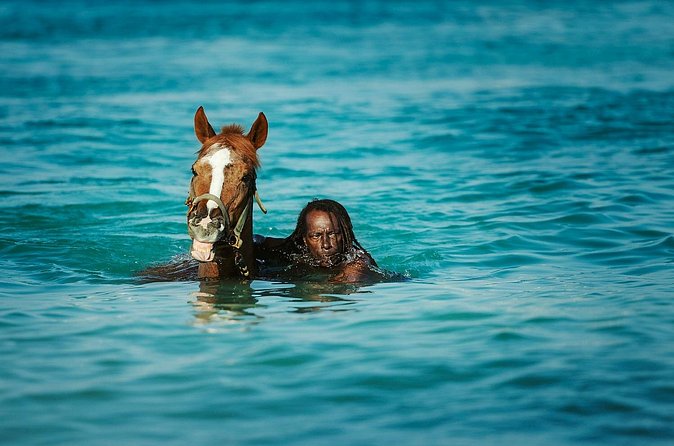 Experience the Swimming Horses at Carlisle Bay & the Garrison - A quick circuit of the Barbados Garrison