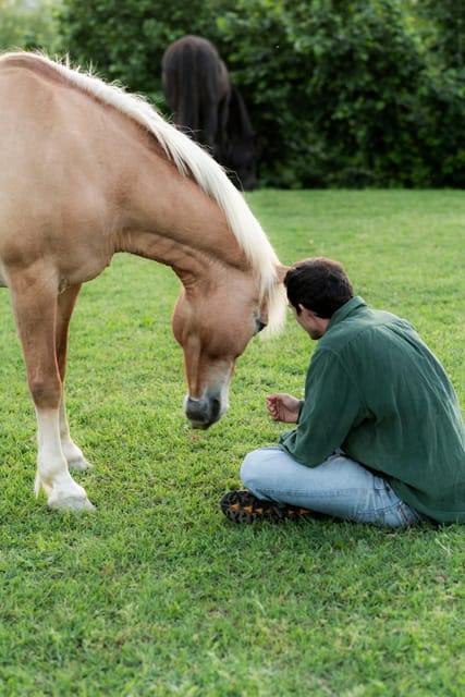 Experiential activity with horses: an experience in connection - Key points to know before booking
