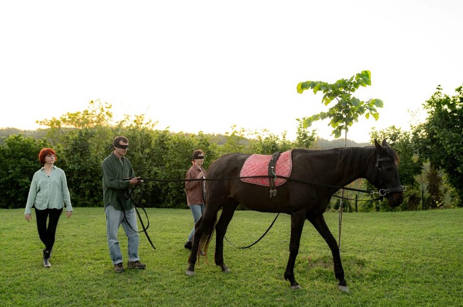 Experiential activity with horses: an experience in connection - Possible saddle work, with no promise of a ride