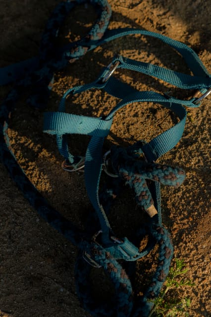 Experiential activity with horses: an experience in connection - What the $33 price gives you