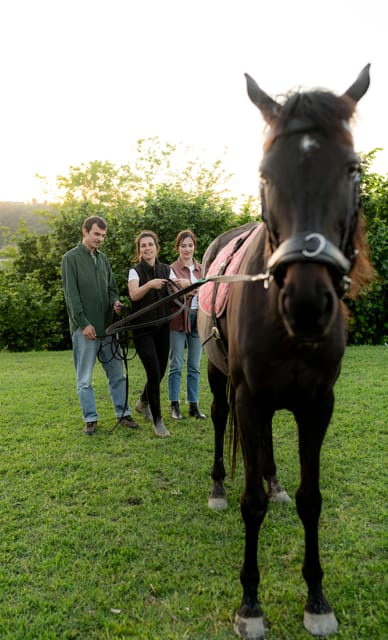 Experiential activity with horses: an experience in connection - Practical planning for your visit