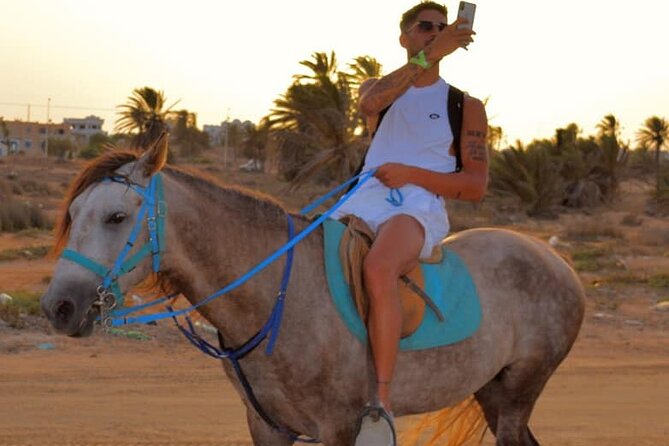 Explore Djerba by camel and horse - Leaving Djerba Midun for the ranch