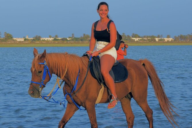 Explore Djerba by camel and horse - Following the Berber tracks