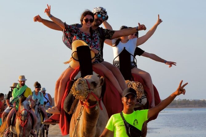 Explore Djerba by camel and horse - Returning by a different ride