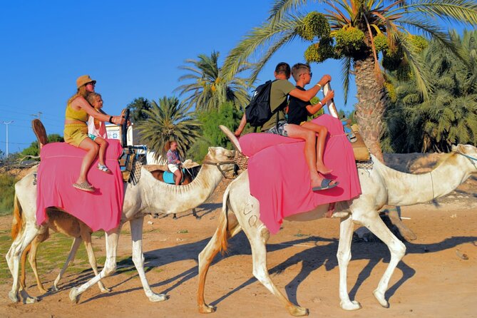 Explore Djerba by camel and horse - Comfort, safety, and group rhythm