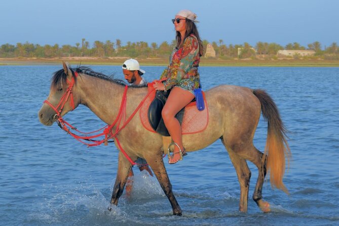 Explore Djerba by camel and horse - Is $42.97 a fair price?
