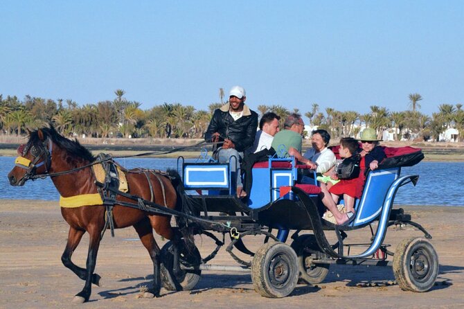 Explore Djerba by camel and horse - Who should book this Djerba ride?