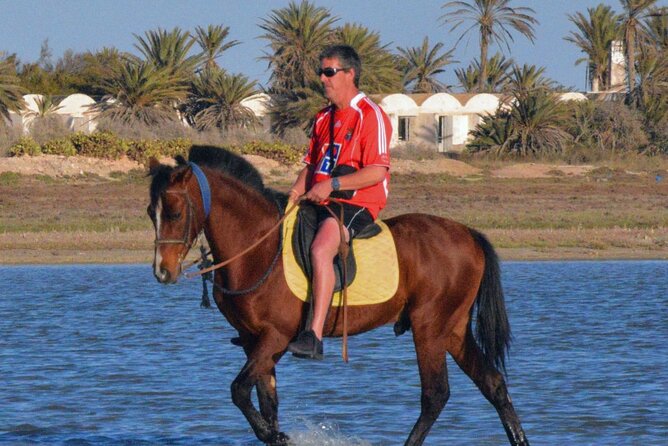 Explore Djerba by camel and horse - Choosing between camel, horse, and carriage
