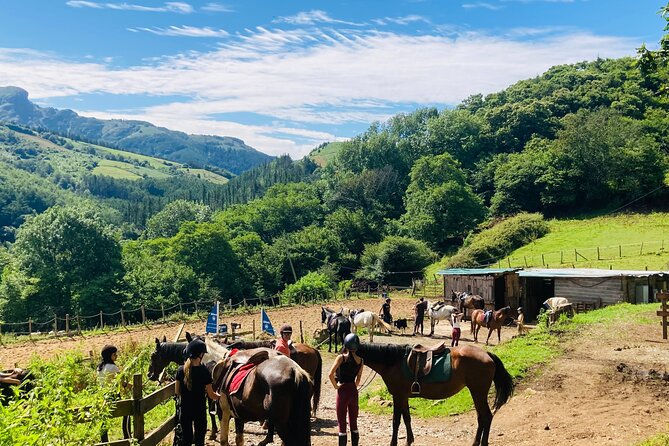 Explore Scenic Mountains and Horseback Riding - Key points to know before booking