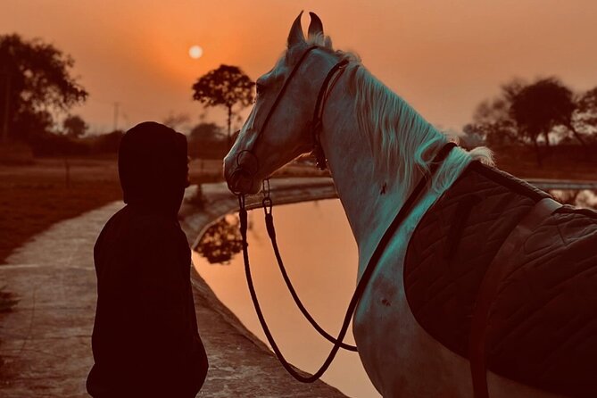 Explore The Desert &The Sea on a Horse Riding Cruise in Hurghada - Key points to know before booking