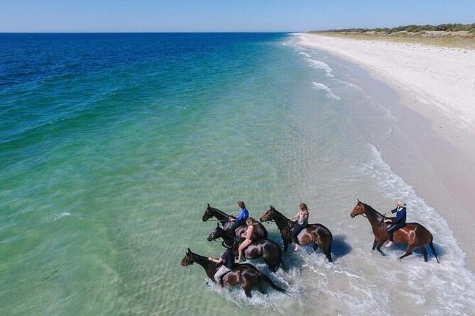 Explore The Desert &The Sea on a Horse Riding Cruise in Hurghada - The desert section: a gentle start to the outing
