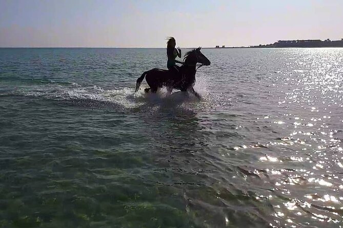 Explore The Desert &The Sea on a Horse Riding Cruise in Hurghada - Entering the sea on horseback