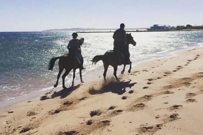 Explore The Desert &The Sea on a Horse Riding Cruise in Hurghada - A small group with practical advantages